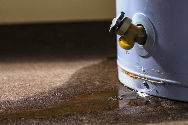 Best Commercial water damage restoration  in Old Jamestown, MO