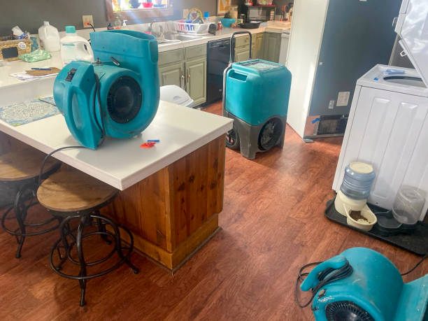 Best Water damage cleanup near me  in Old Jamestown, MO