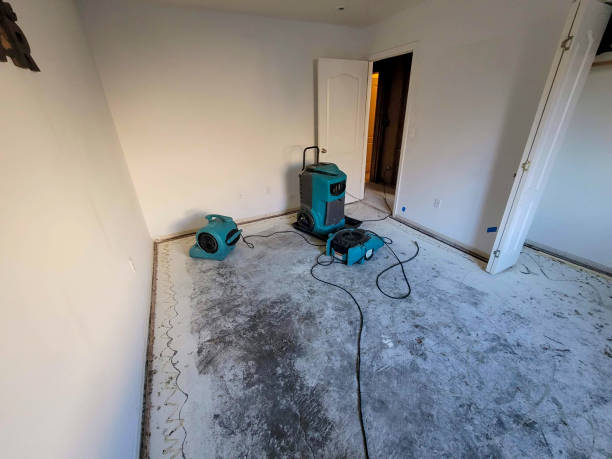 Best Professional water damage repair  in Old Jamestown, MO