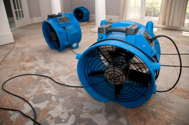 Best Ceiling water damage repair  in Old Jamestown, MO