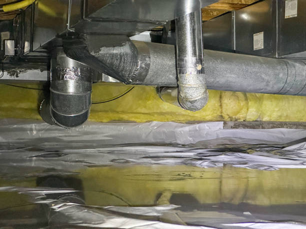 Best 24/7 water damage repair  in Old Jamestown, MO