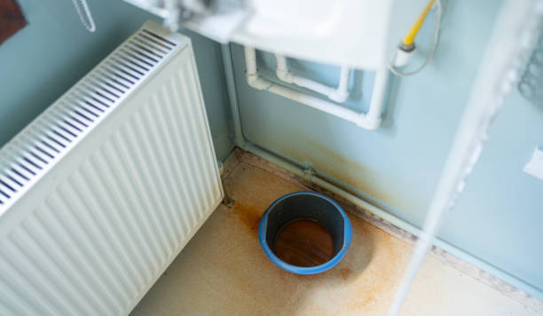 Best Water damage contractors near me  in Old Jamestown, MO